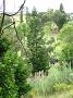 port-macquarie-march2012 058
